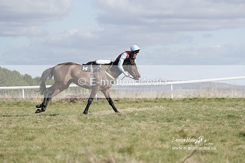 PtP 260223 480 - South & West Wilts Point-to-Point Larkhill 26/02/23