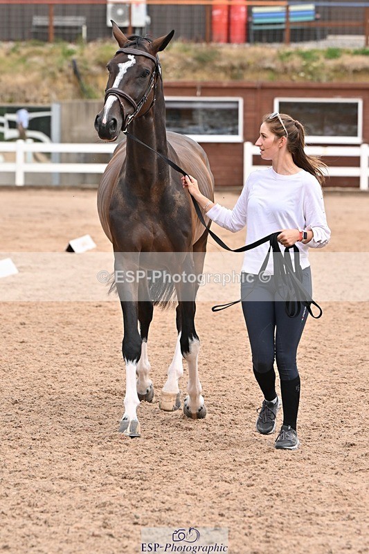 250716-144142-01318 - Trot Up 2.30 to 3.30