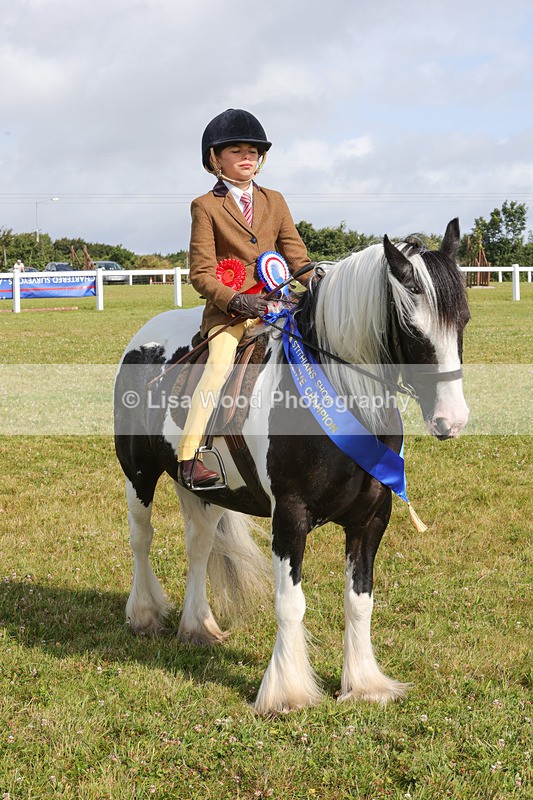 1X9A3515 - Skewbald and Piebald Ridden Championship