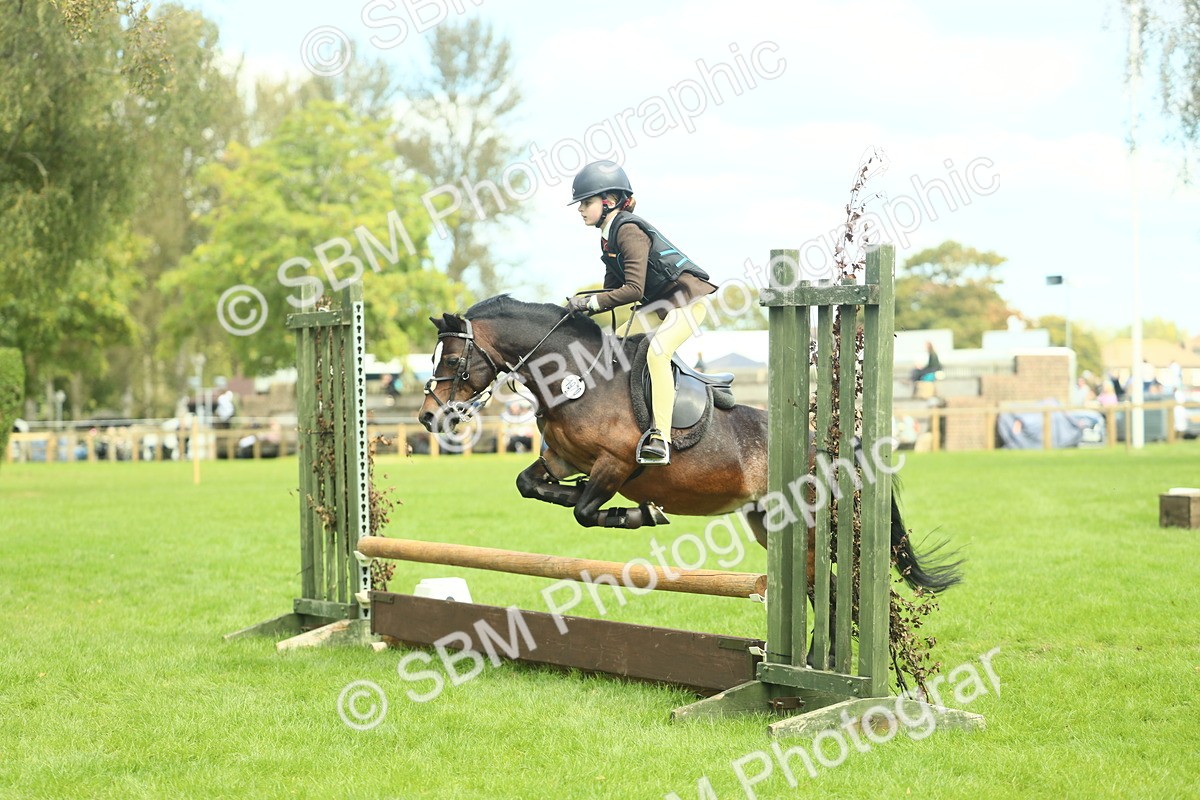 SBM_42758 - S30 - M&M Working hunter Pony