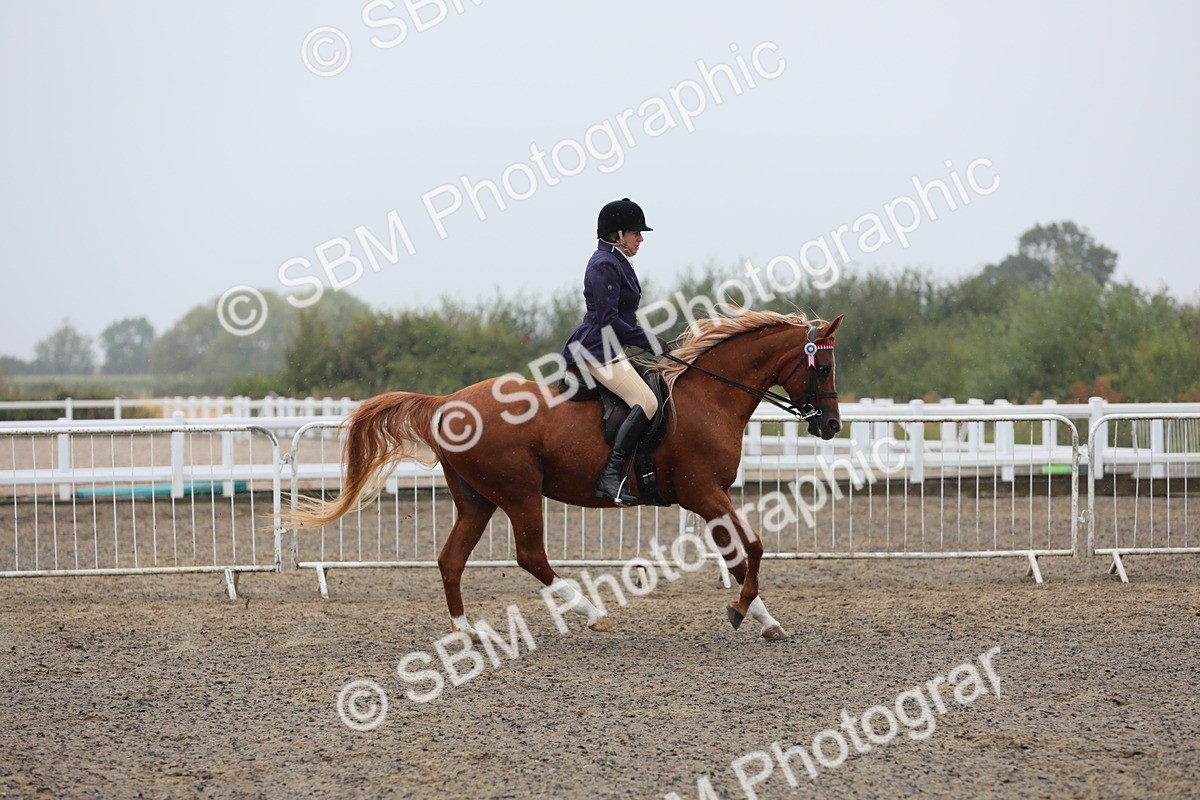 SBM_20288 - Class 803 - Ridden Combination 65+