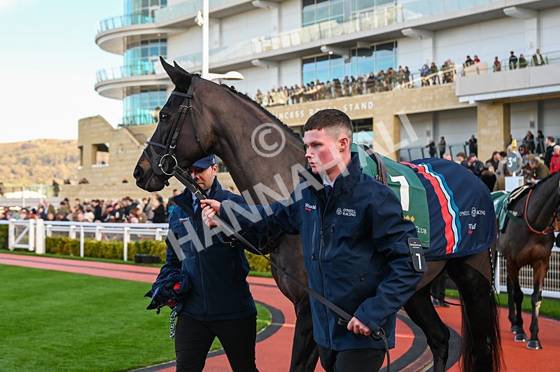 141224-Race 3-Trapista-0450 - Race 3