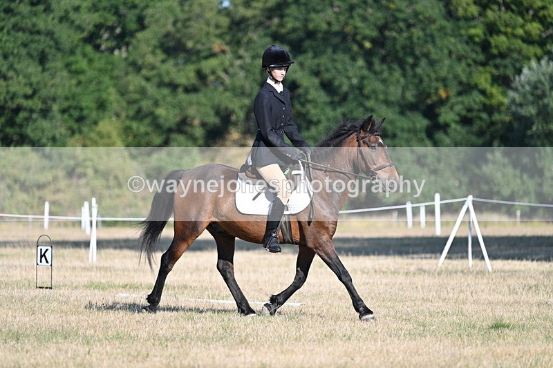 WJ7_8506 - Time 09:00 to 09:24