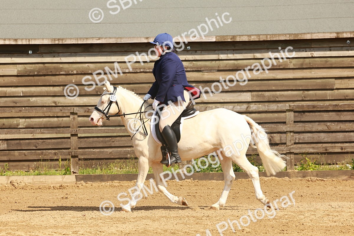 SBM_000061 - Class 1 - Intro 2