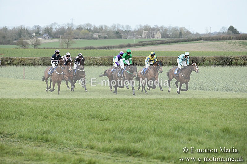 PtP 230319 137 - VWH Hunt Siddington Point-to-Point Racing 23/03/19