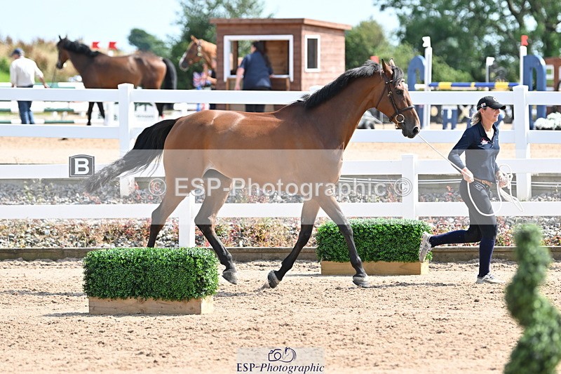 240717A-154504-03032 - Trot Up 3pm to 4pm