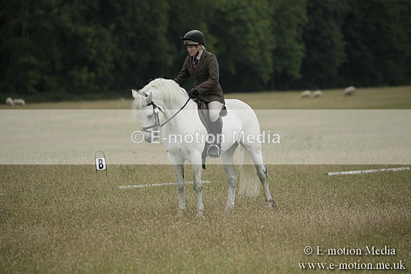 B230619-0358 - Bourne Valley Riding Club Summer Show 23/06/19