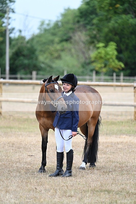 WJ7_9685 - Class 5 Most Handsome Gelding (up to 14.2hh)