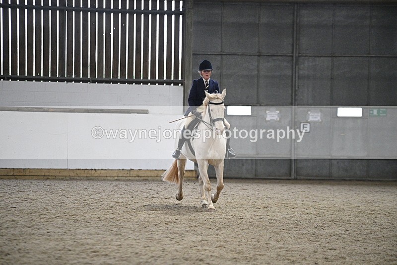 WJ7_3641 - Class 16 Ridden Coloured/ Odd Coloured