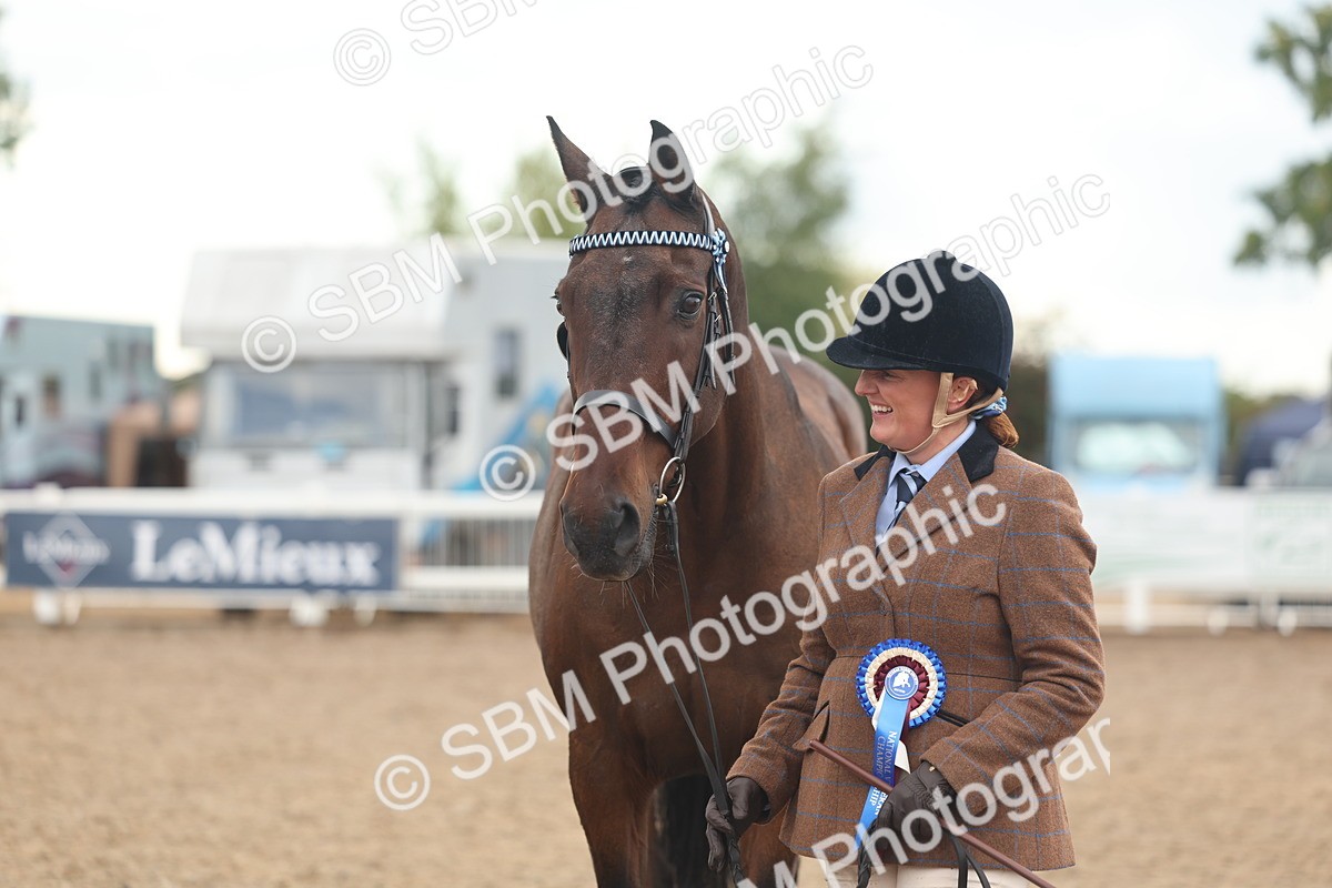 SBM_07843 - Class 27 - IH Competition Horse/Pony