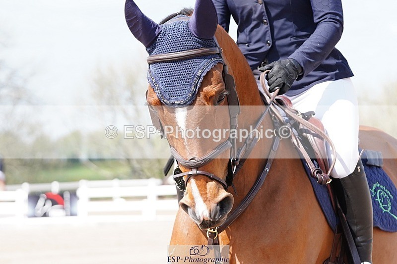 250425-135428-10097 - Cls 34 Young Horse 7yr old