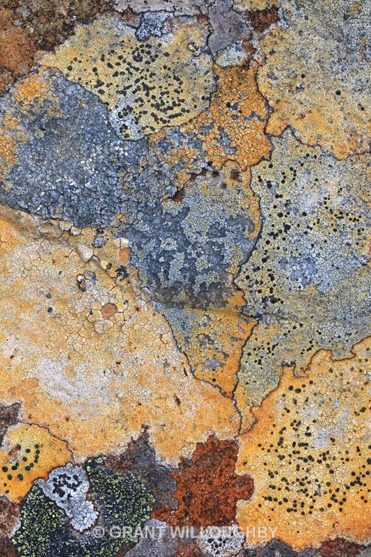  - Detail in the land