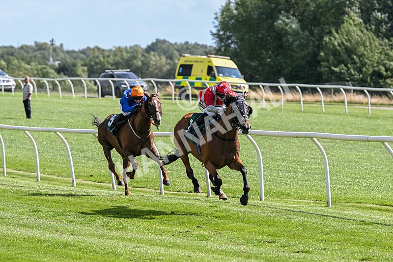 050825-Race 3-Sophar Sogood-5767 - Race 3