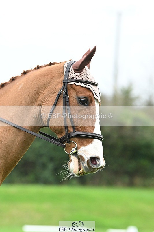 241024-105554-03095 - 502-Alison.Stewart-RICO.III