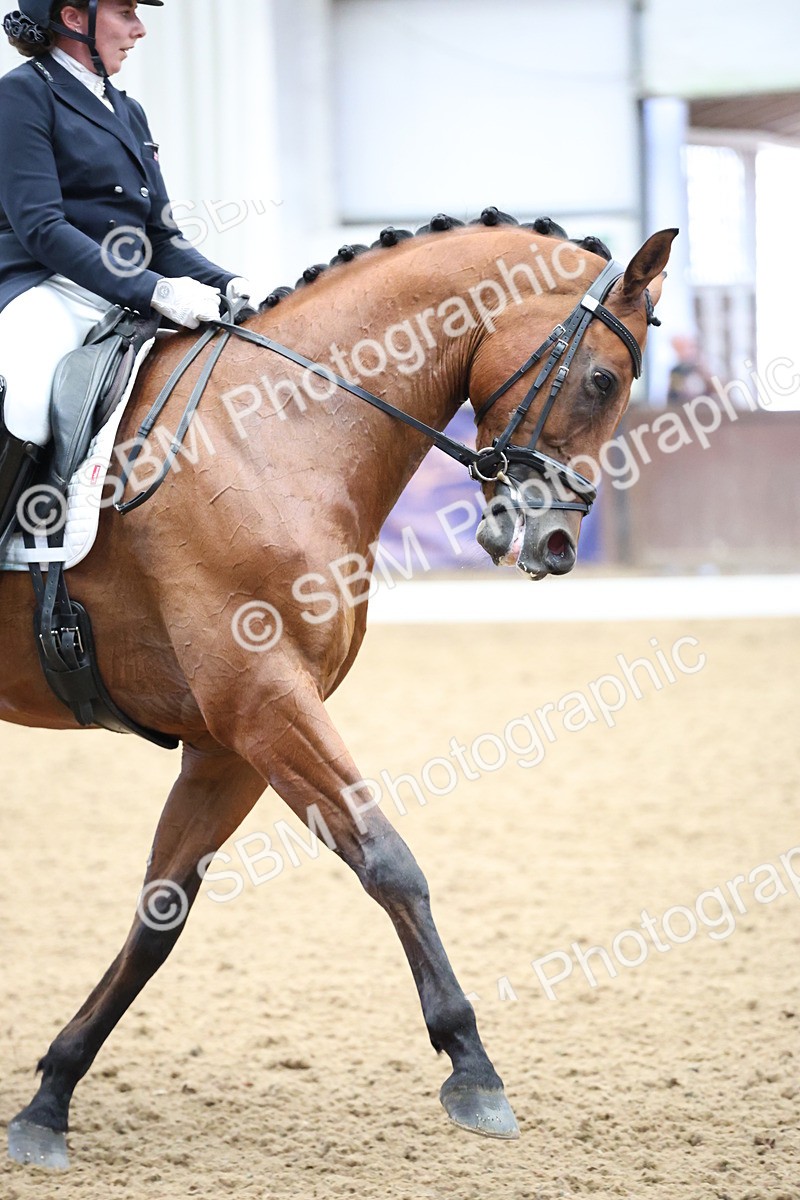 SBM_004438 - Class 9 - FEI Inter 1 Gold - 15.55-16.43