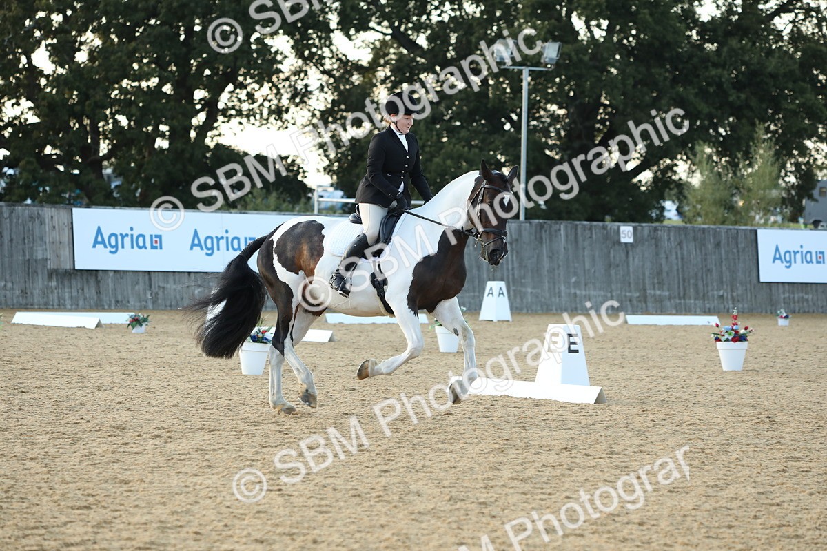 SBM_30646 - D20 - Grand Tour Championship - Elementary 44