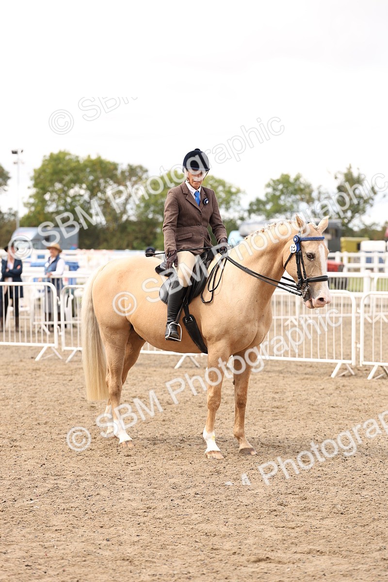 SBM_04236 - Class 54 - Riding Club Horse/Pony