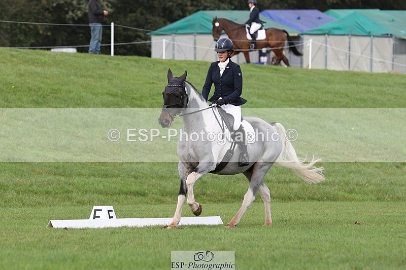 231019-134955-03791 - 622-CRAFTY.WIZARD-Heather.Urquhart-DR