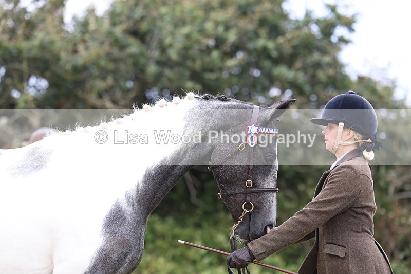 3E7A4166 - Class 15: Two Year Olds