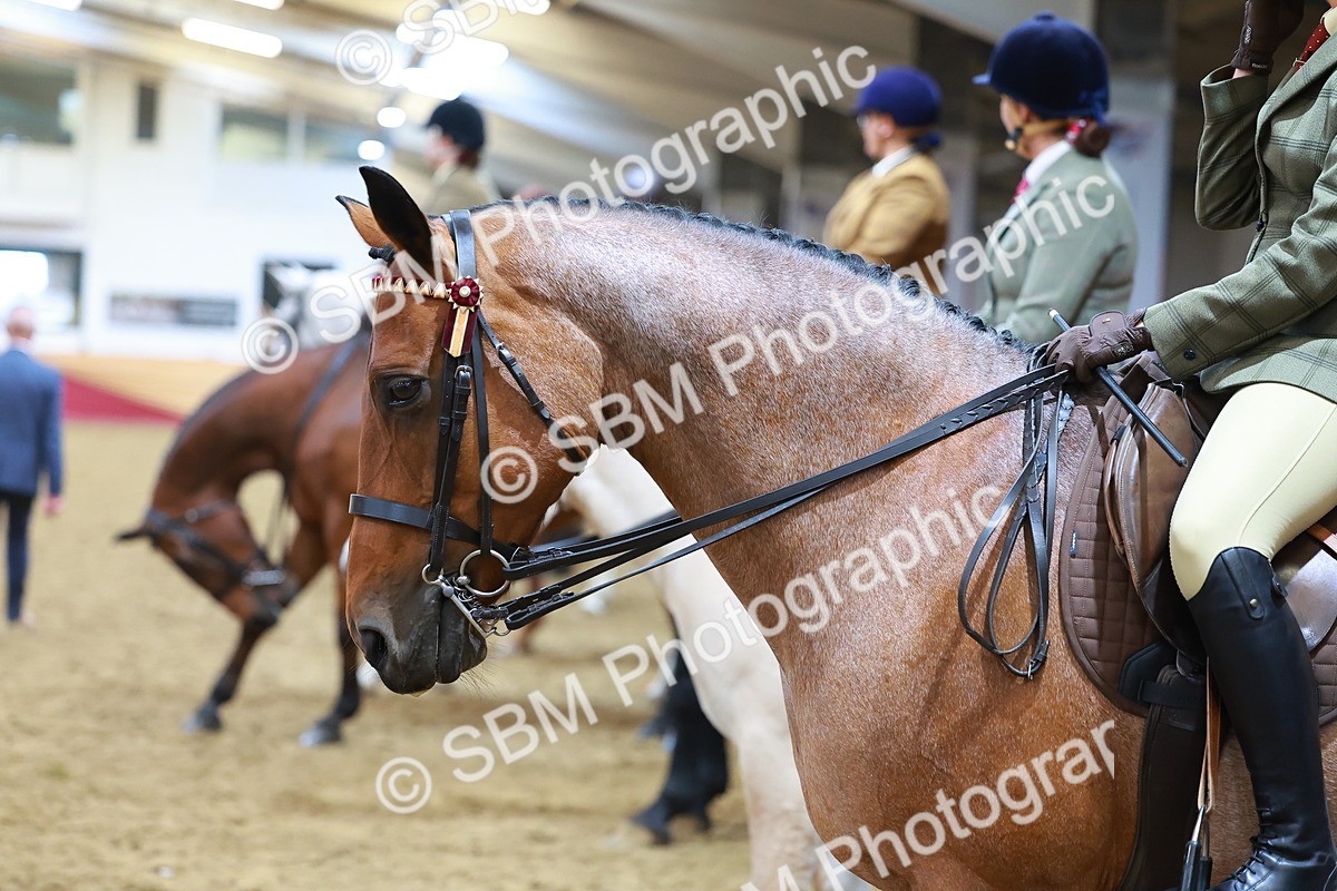 SBM_09457 - Class 102 - HOYS Veteran Qualifier - Ridden Veteran