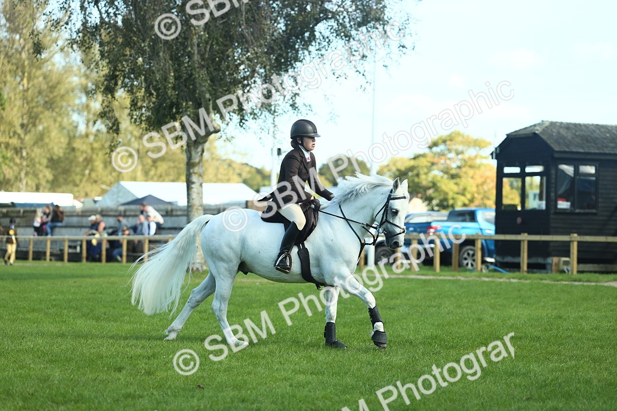 SBM_39224 - S29 - Novice & Newcomers Working Hunter Pony