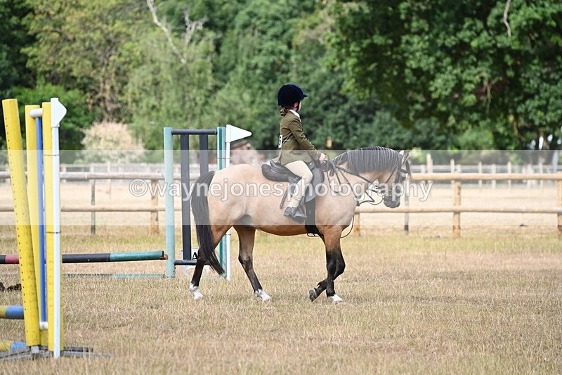 WJ6_7549 - Class 9 Tack and Turnout