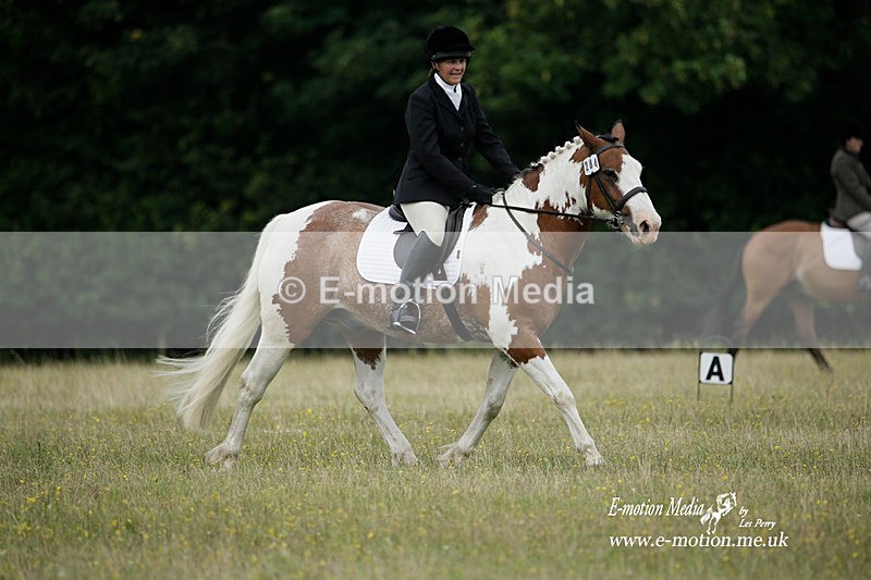 BVRC 030721 79 - Bourne Valley Riding Club Dressage 03/07/21