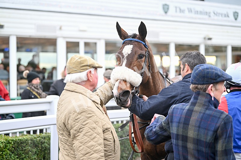 171224-Race 5-Wrappedinrubies-3524 - Race 5