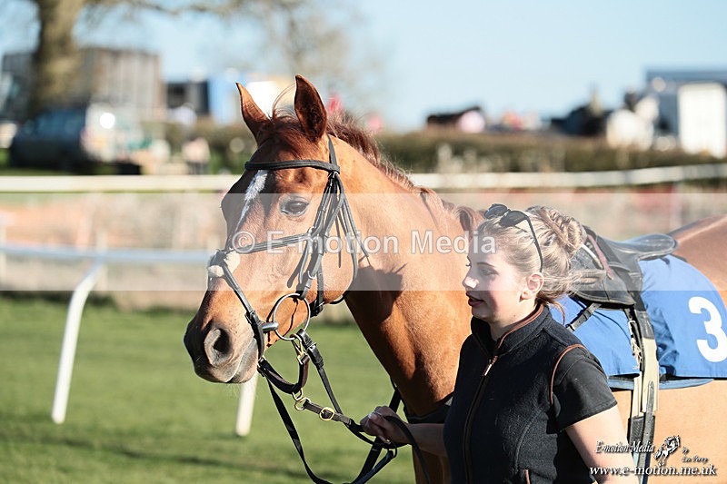 PtP 210326 1142 - VWH Cirencester Races 21/03/26