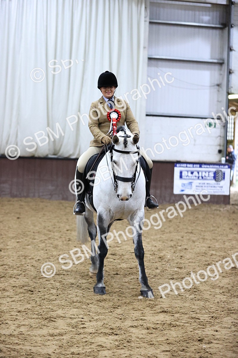 SBM_6391 - Class 45-42 - Ridden Irish Breeds-Ridden Cob