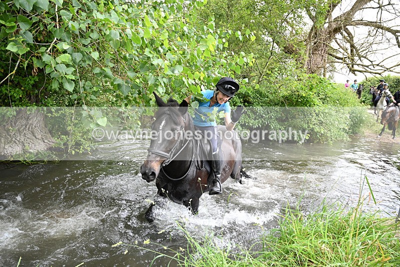 WJ7_1969 - Camera 2 Water Crossing
