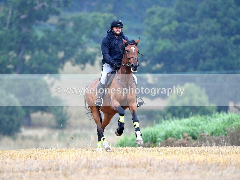 WJ5_2455 - Sofian Francis