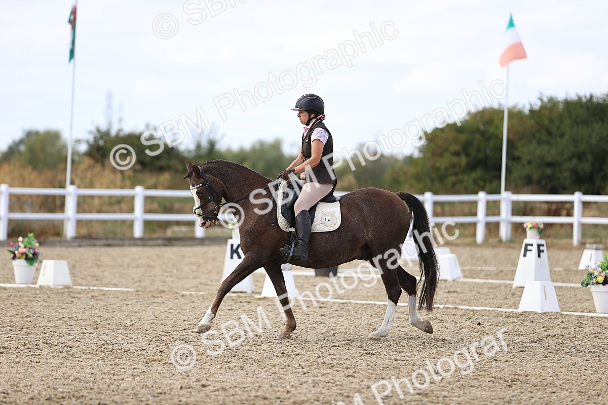 SBM_015950 - Class 5 - E5 Bronze  16.18.17.22