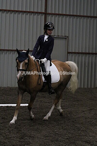 SIAL3558 - CAbin Dressage 5th july 2025