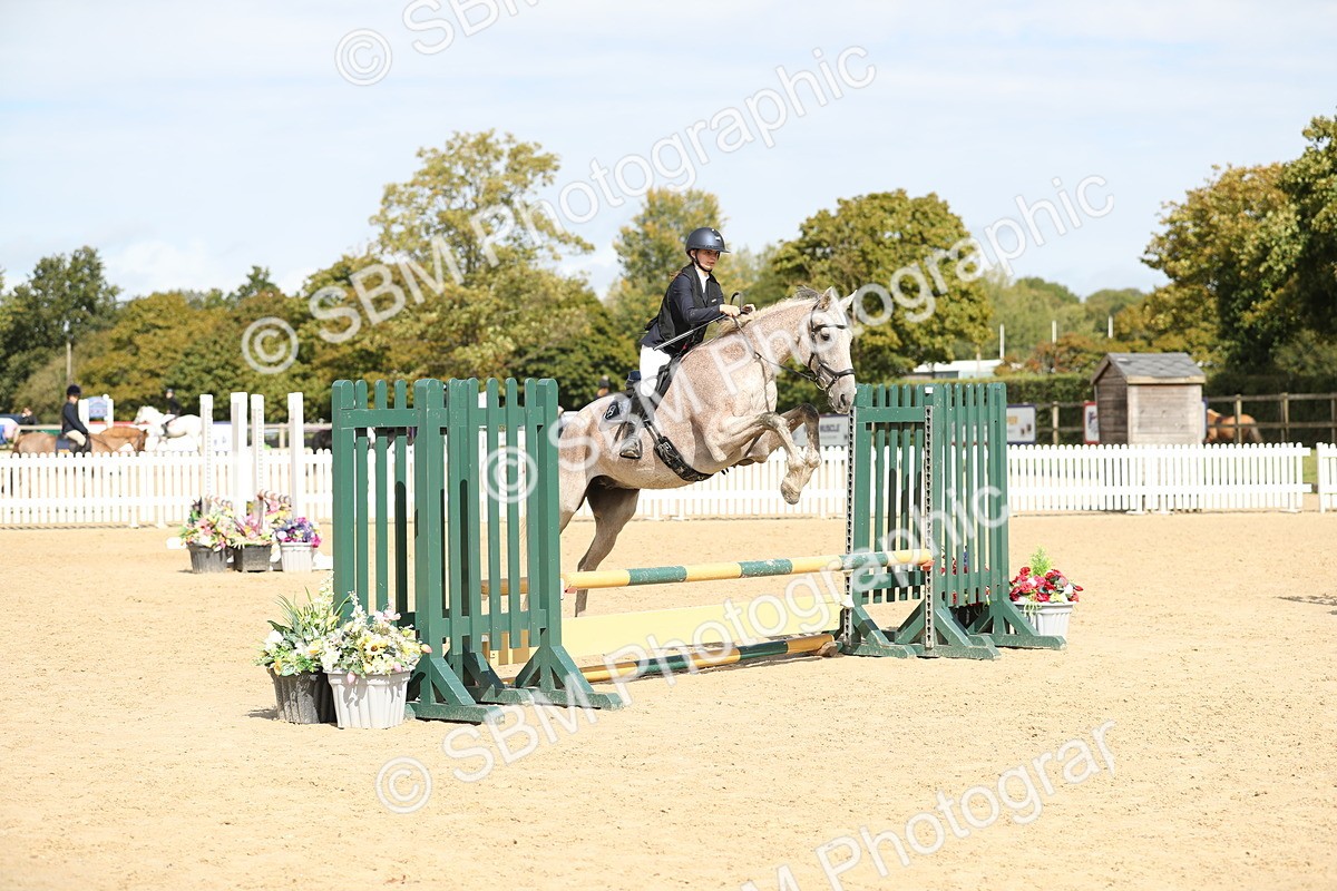 SBM_40899 - Supreme Championship 50cm 60cm