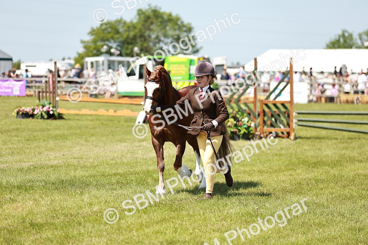 SBM_15543 - Class 108-109 - BSPS LIHS Open Gradle & Nursery Stakes