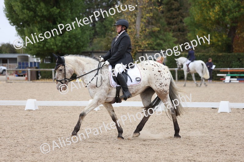 20250820-0288 - Class 9 - My Quest Prelim 3