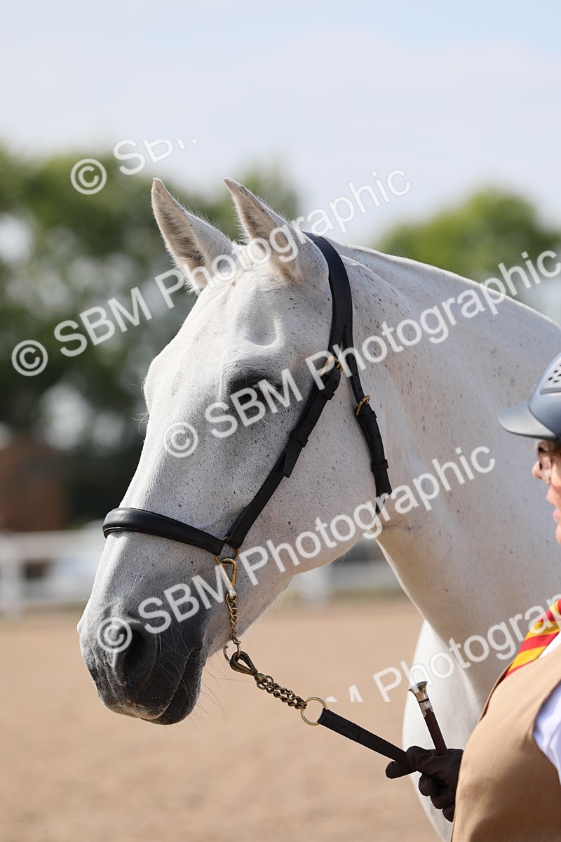 SBM_15742 - Class 312 IH Competition Horse/Pony