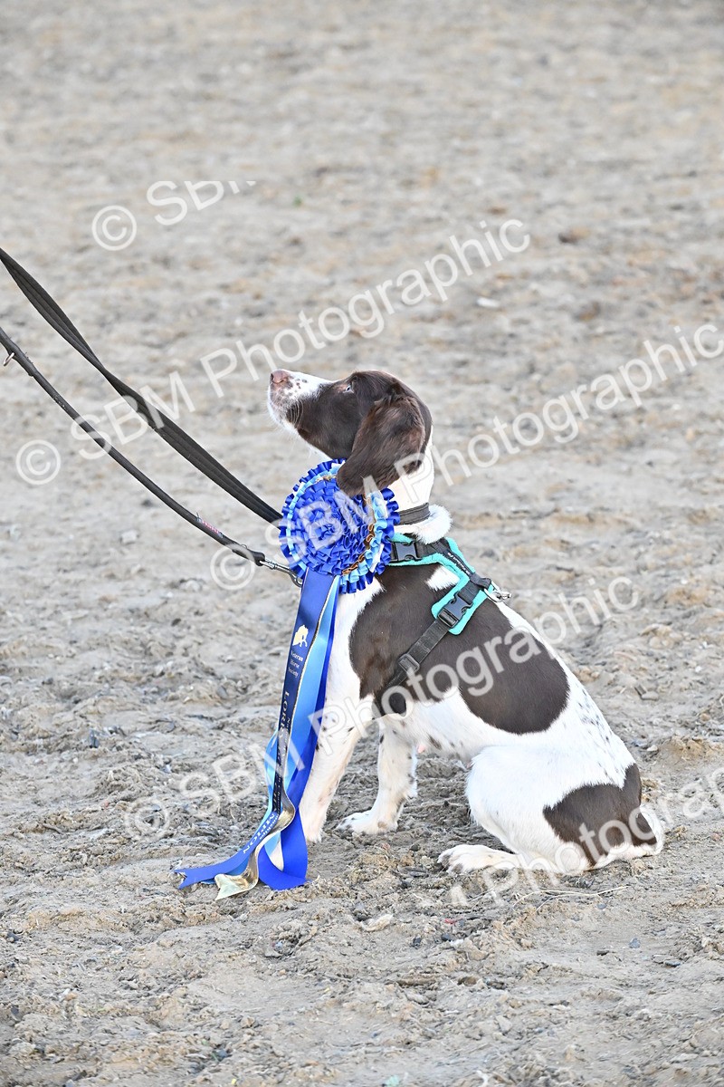SBM_09727 - Lorry Dogs