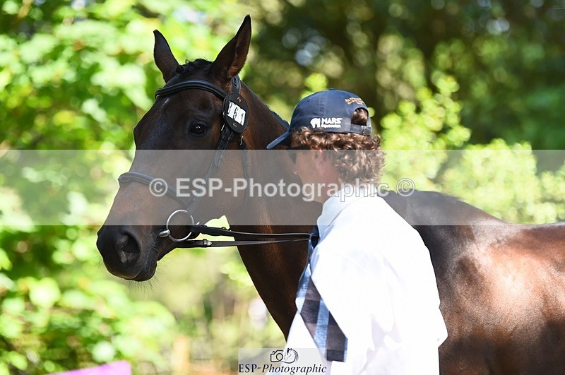 230524-153542-00380 - 361-FINCH_FANCY-Ben_Lee_Liles-WEDTrotUp+DR