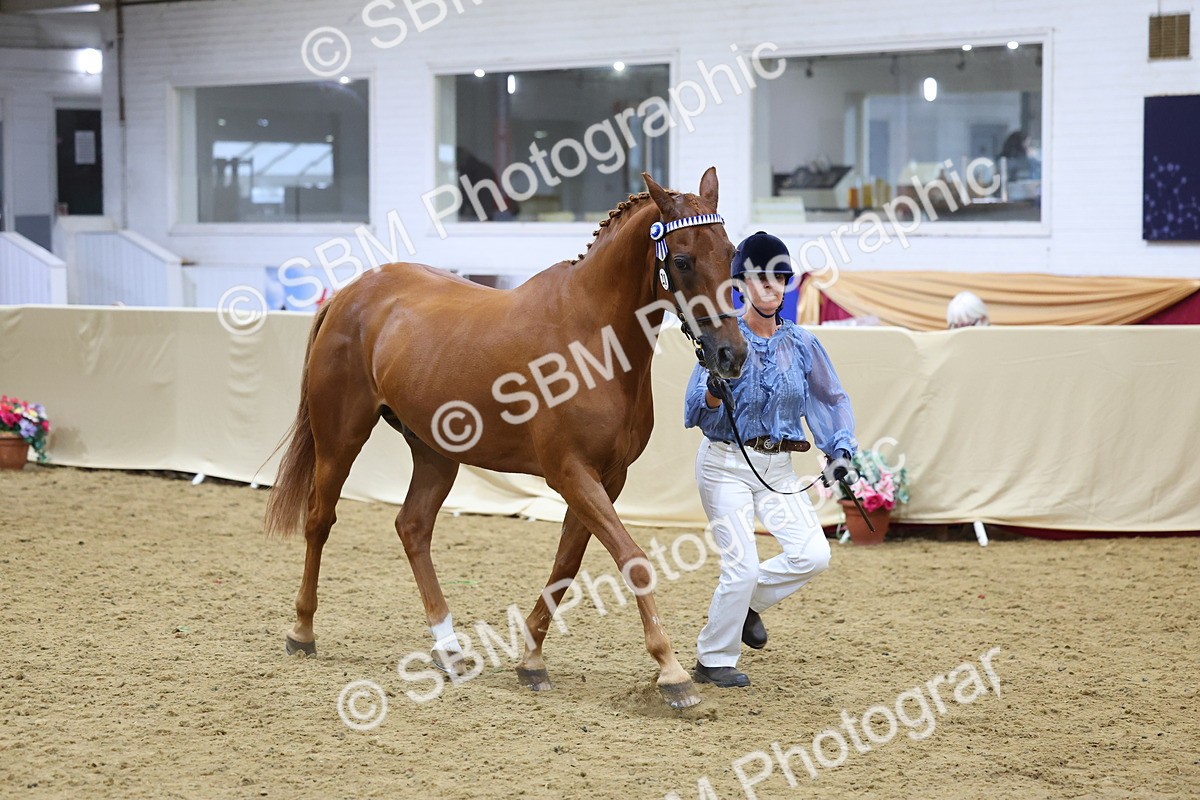 SBM_21049 - Class 902 - Supreme Final IH Veteran