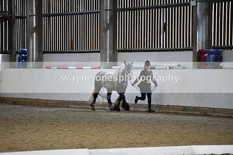 WJ5_5202 - Class 8 In hand cob