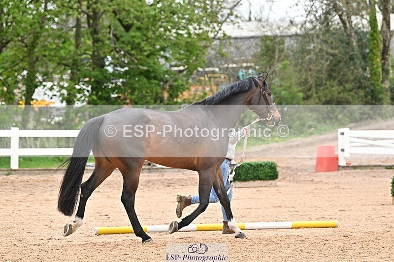 250423-162253-02130 - 4pm to 5pm