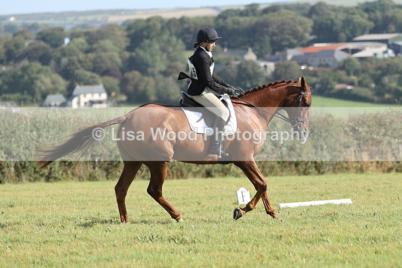 JPP_8046 - Class 2A: Trekenning Open: Dressage