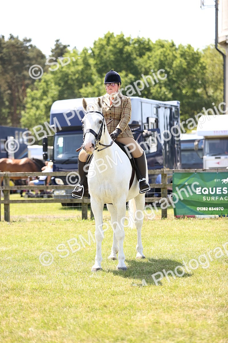 SBM_16136 - Class 79-80 - LIHS BSHA Rising Star Ridden Hunter
