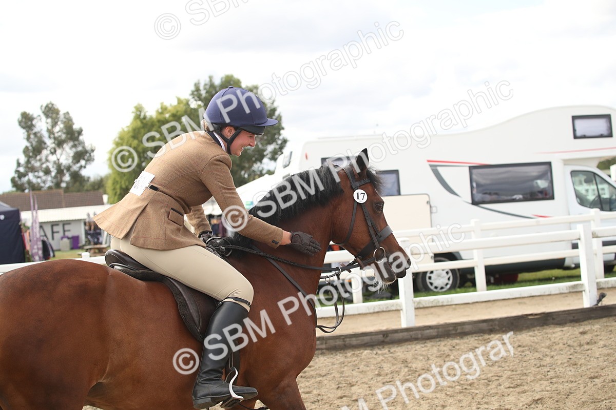 SBM_14522 - Class 505a - M&M Working Veteran - 50cm (15-19)