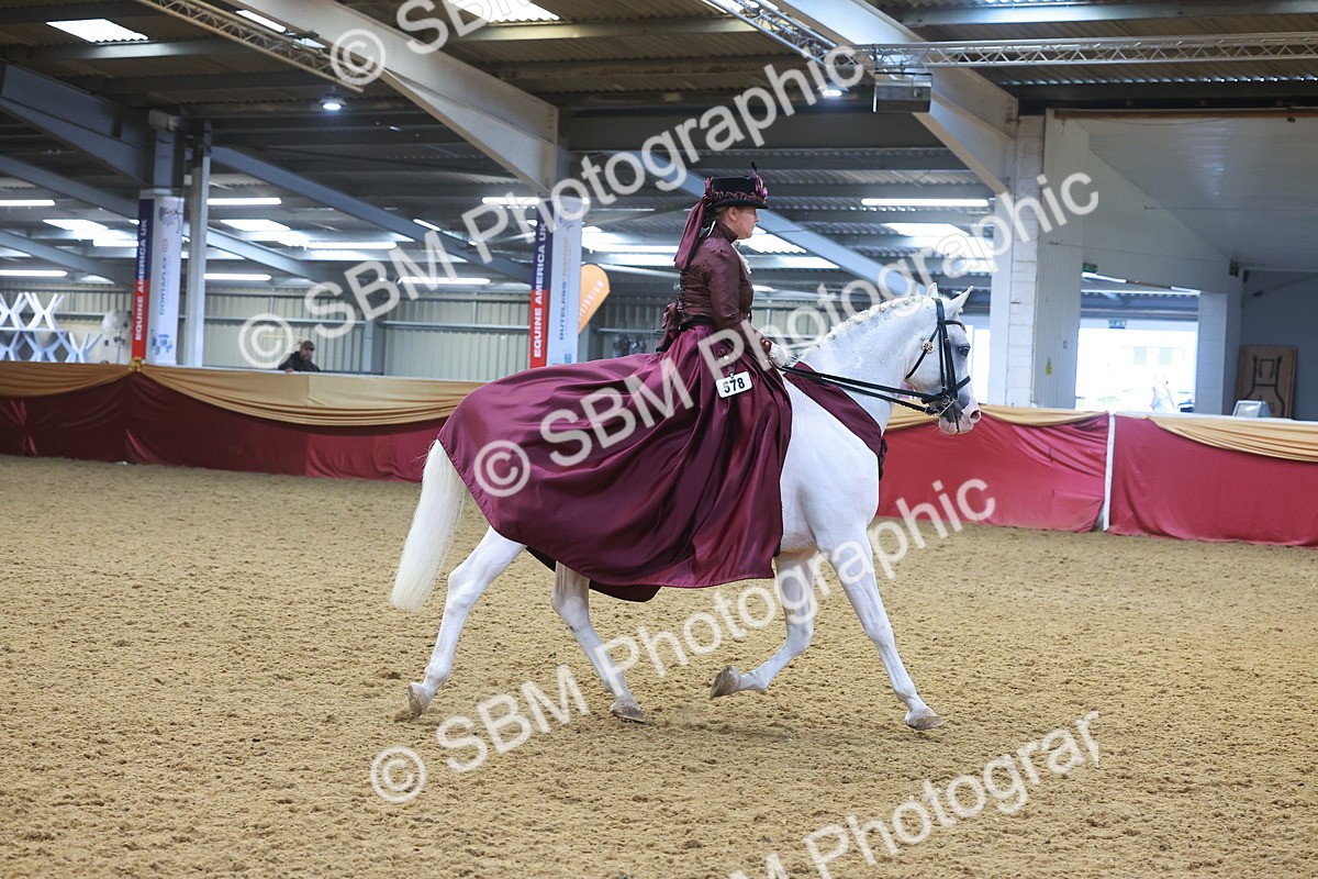 SBM_14806 - Class 108 - Ridden Costume - Astride Adult (20+)