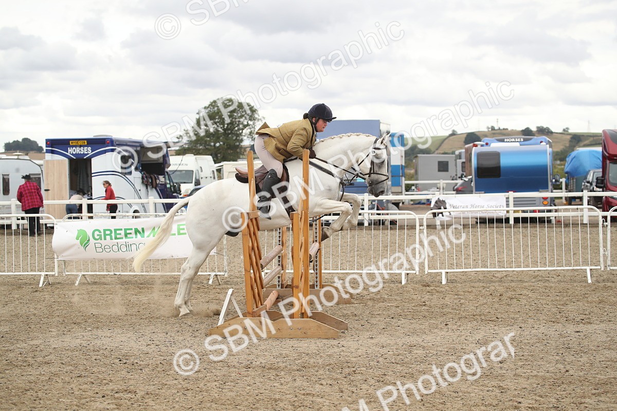 SBM_18255 - Class 509a - Working Veteran - 80cm (15-19)