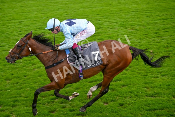 220824-Race 5-Scenic-7635 - Race 5 4.10pm British EBF & Sir Henry Cecil Galtres Stakes