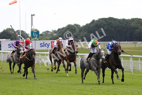 yr12062021r2-19 - Race 2 2.35pm The JCB Stakes